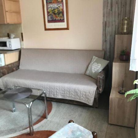 Dom Square-Centrum-Free Parking Apartment Szeged Bagian luar foto